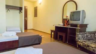 Отель Hotel Dacor Орэштие Двухместный номер с 2 отдельными кроватями-2