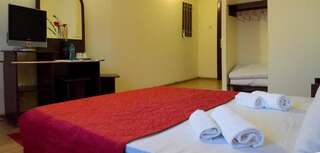 Отель Hotel Dacor Орэштие Двухместный номер с 1 кроватью-9