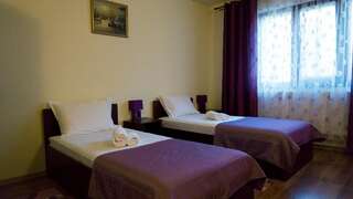 Отель Hotel Dacor Орэштие Двухместный номер с 2 отдельными кроватями-8
